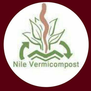 Nile earthworms vermicompost